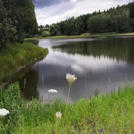 Lakeside Comfort, Hébergement de vacances Güntersberge